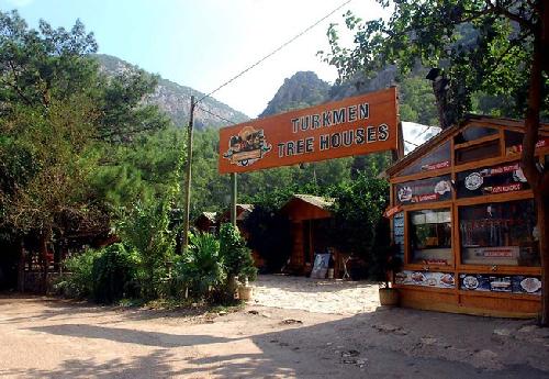 Turkmen Tree Houses transfer